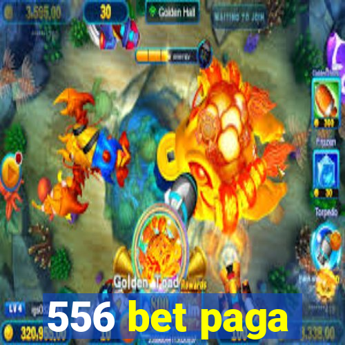 556 bet paga